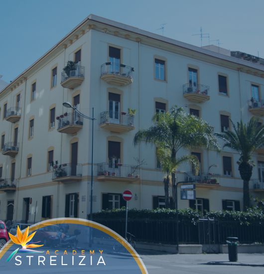 Strelizia Academy