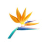 Strelizia Academy | Corsi di Formazione e di specializzazione multidisciplinare per medici dentisti ed odontoiatri - Palermo, Sicilia, Italia