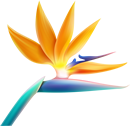 Strelizia Academy | Corsi di Formazione e di specializzazione multidisciplinare per medici dentisti ed odontoiatri - Palermo, Sicilia, Italia